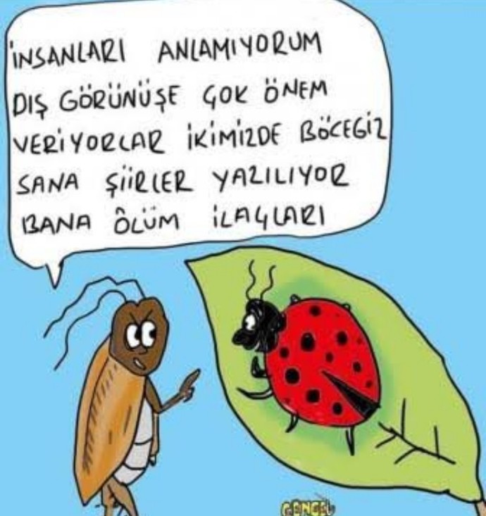Dış görünüş sizin için önemli midir?
