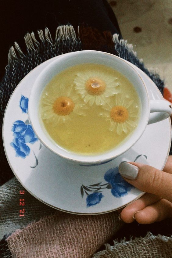 15 Aralık dünya çay gününde favori çayınız nedir?