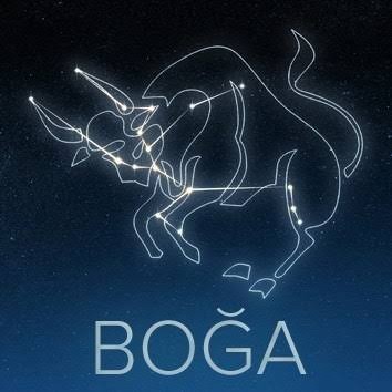 Boğa burcu aşk konusunda nasıldır?
