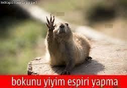2022 bitiyor diye üzülenler var mı?
