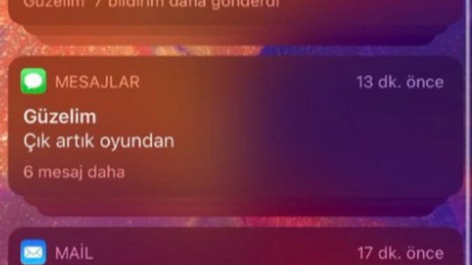 Oyun oynarken sürekli mesaj atanlara deli olur musunuz?