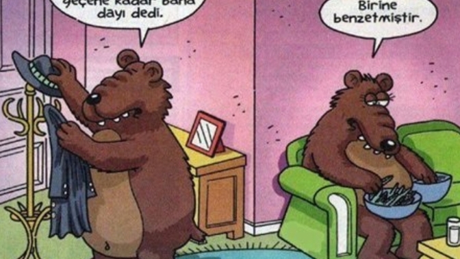 Köprüyü geçene kadar ayıya dayı der misiniz?