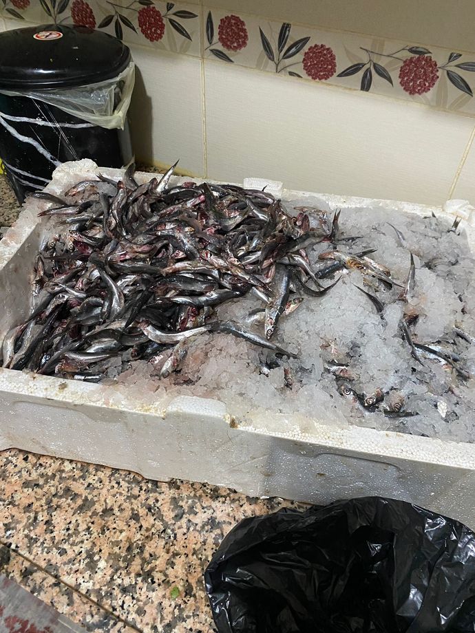 35 kilo hamsi temizlemem gerekiyor, Kim bana yardım eder :D?