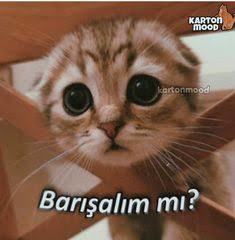 Yaz aşkı var da kış aşkı yok mu?