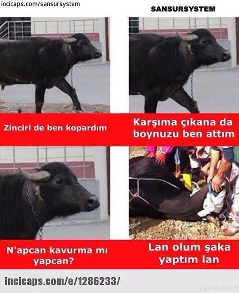 Yaz aşkı var da kış aşkı yok mu?