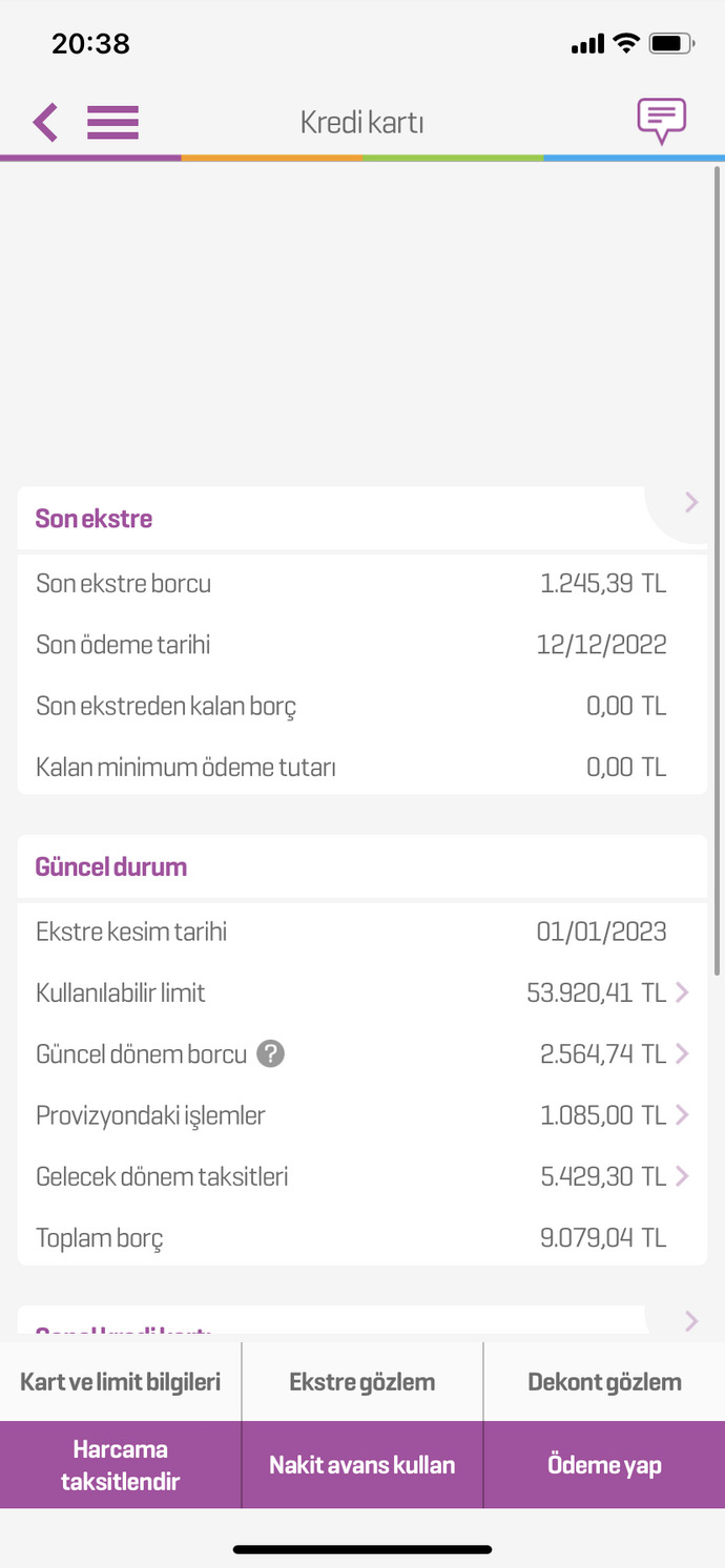 Ne kadar borcunuz mevcut?