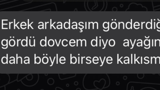 Hoşlandığım kız bu mesajı atmış. Sizce ne demiş olabilir?