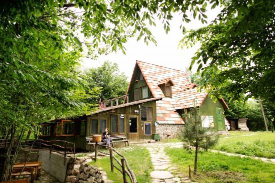Şehirden uzak, doğayla iç içe bir tatil yapmak hoşunuza gider mi?