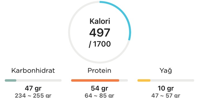 Günlük aldığını kaloriyi hesaplar mısınız?