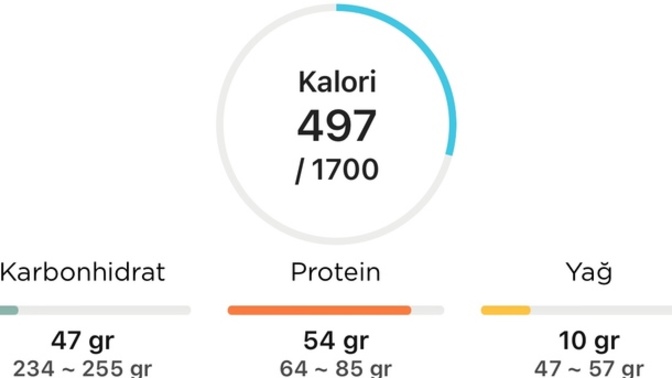 Günlük aldığını kaloriyi hesaplar mısınız?