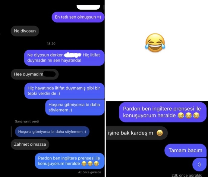 Erkek kardeşim önceden tanıştığı bir kız arkadaşının hikayesine yanıt vermiş ve aralarında geçen diyalog?