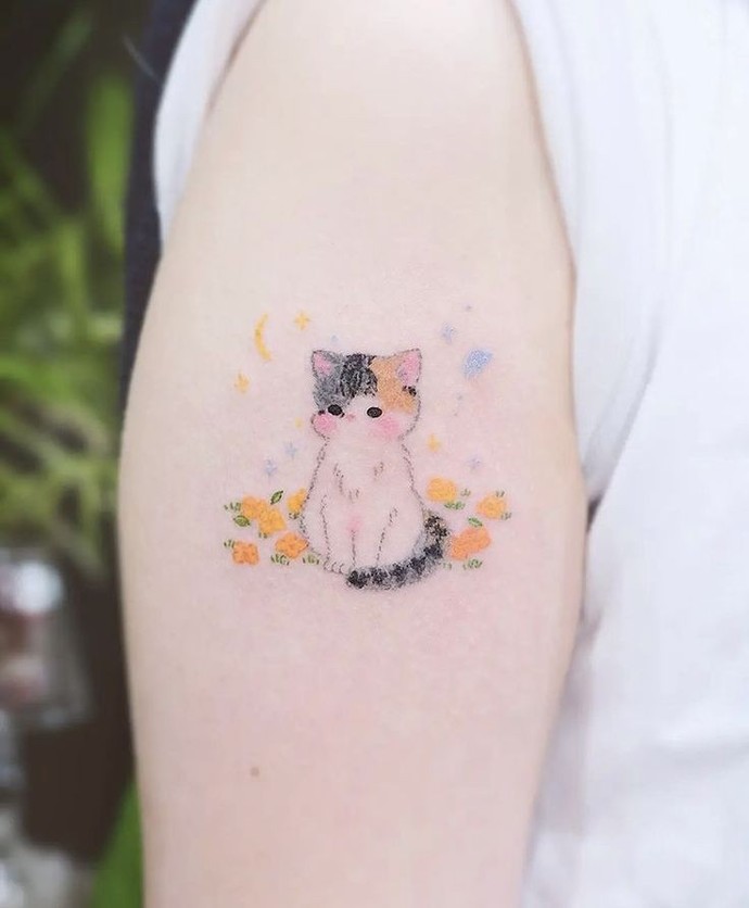 🐈✨