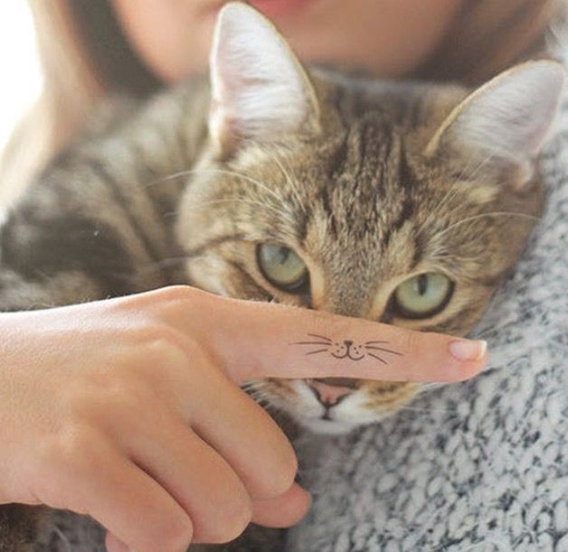 😼👀