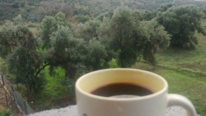 Günaydınnn. Güne kahve ile başlayanlar urda mı ?