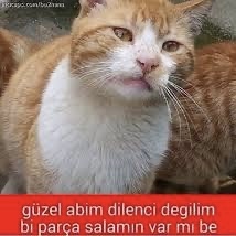 Dilencilere para vermeme prensibi hakkında düşünceleriniz nelerdir?