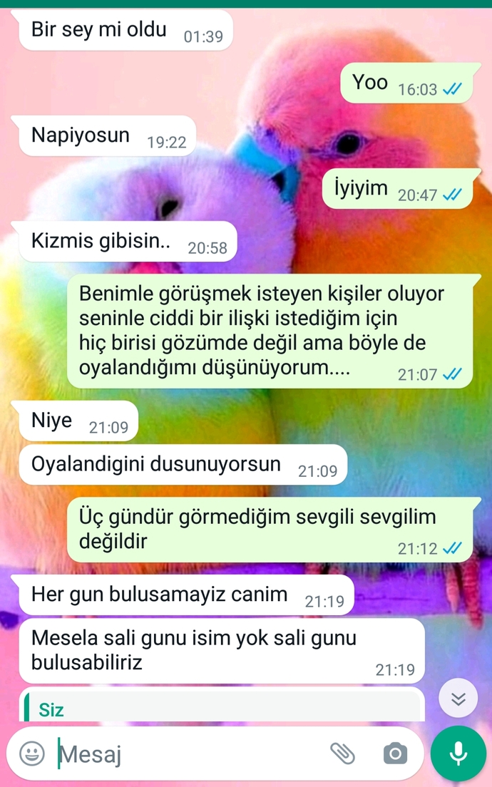Sevgilimle Kavga Ettik? Ne Yapmalıyım? Resimli?