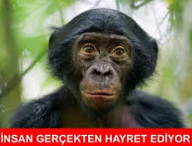 Neden yaşlı erkeklere ilgi duyuyorum?