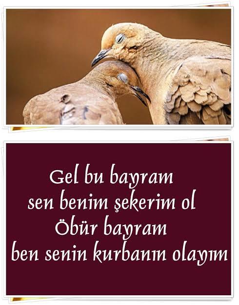 Erkekler neden kadınlara kul köle olur?