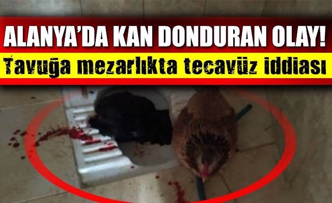 Şu zamana kadar karşı cinsle hiç temasım olmadı, kimse öpmedi, bunu duyan şaşırıyor neden?