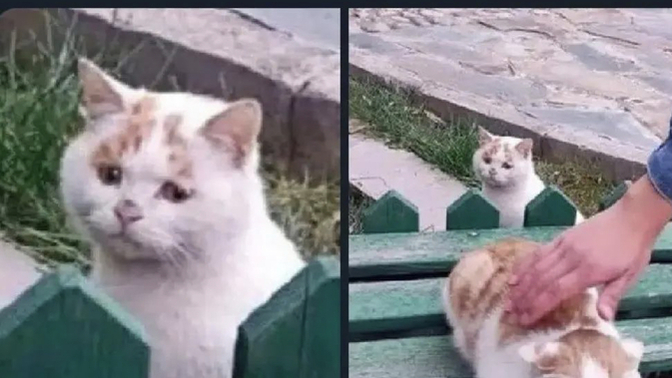 Yolda mutlu, birbirini seven çiftler görünce ne hissediyorsunuz?