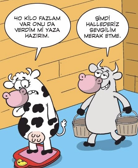 Kilo alan sevgilinize/eşinize tartı hediye eder misiniz?
