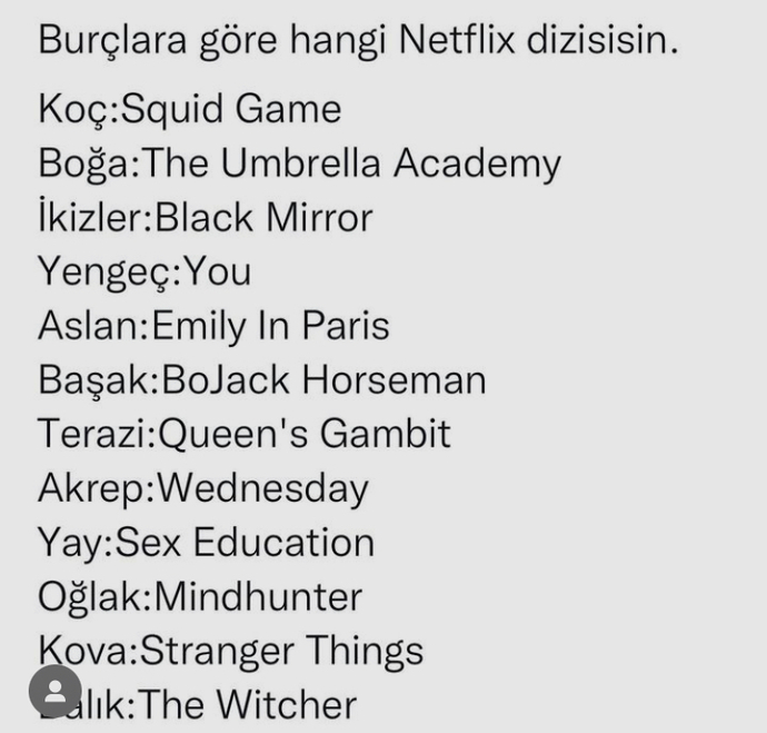 Burcuna göre hangi Netflix dizisisin?