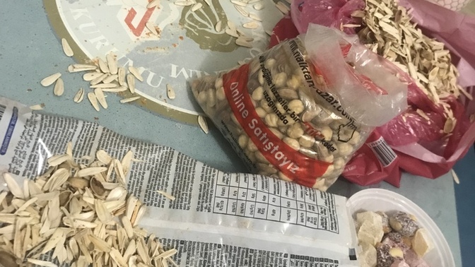 İyi geceler KS halkı. Geceniz nasıl geçiyor?