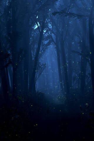Ormanda paranormal olay yaşayan var mı?