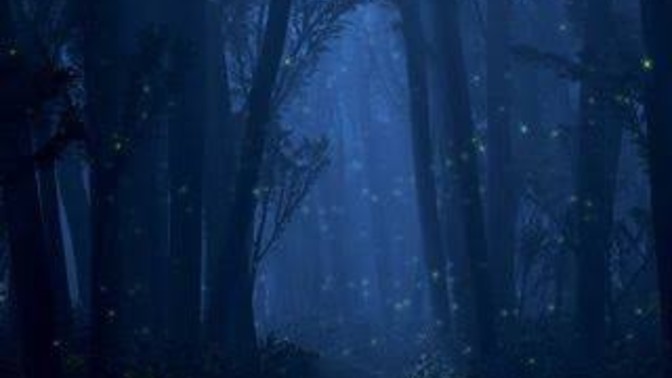 Ormanda paranormal olay yaşayan var mı?