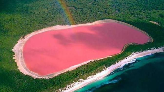 Sizce pembe göl mü daha ilginç yoksa yağmur damlası keki mi?