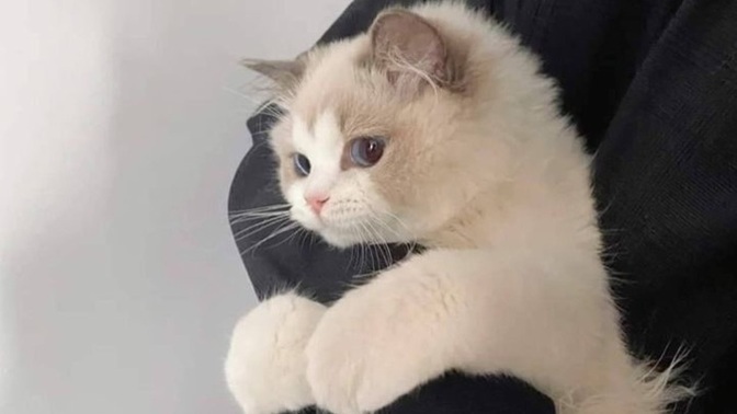 Sıkıca sarılmak istediğiniz biri var mı?