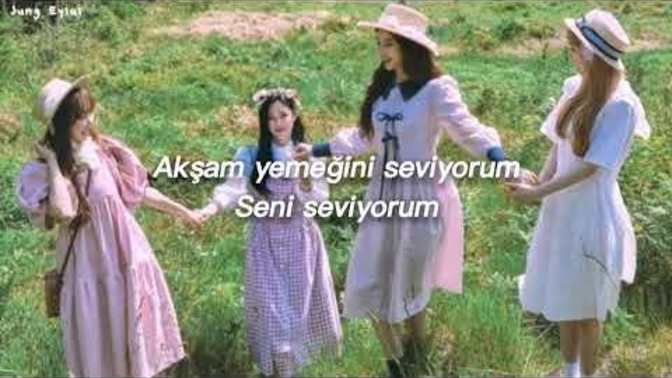 İspanyolca şarkıları güzel bulur musunuz?
