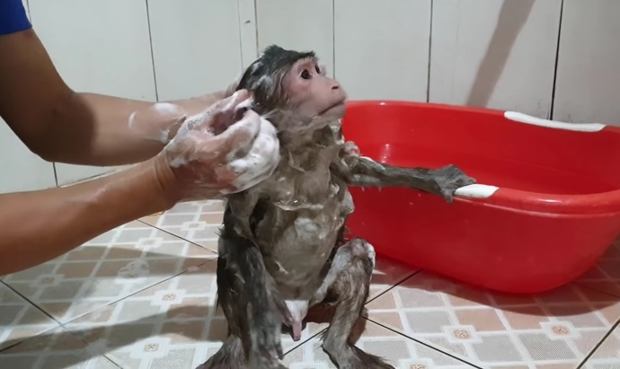 Şu an anlık olarak ne yapıyorsunuz (fotoğraflı) ?