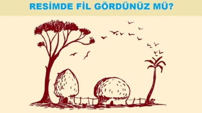 Resimde fil gördünüz mü?