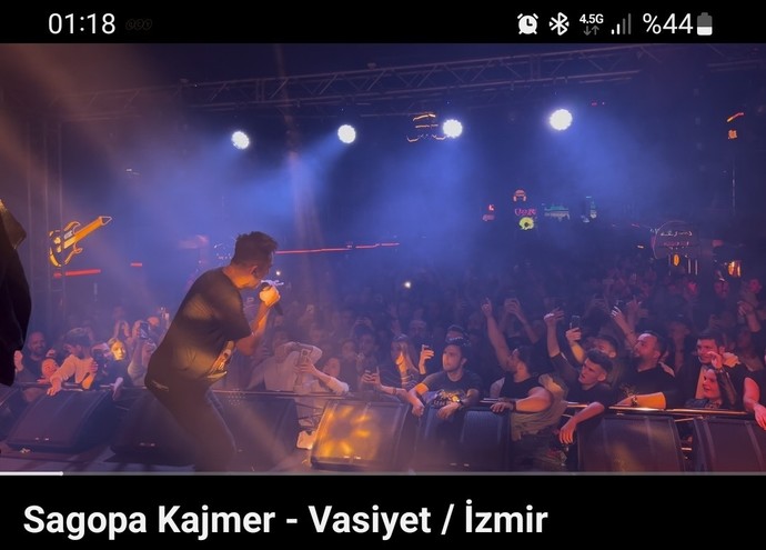 Sevdiğiniz şarkıcının konser videolarını izler misiniz?