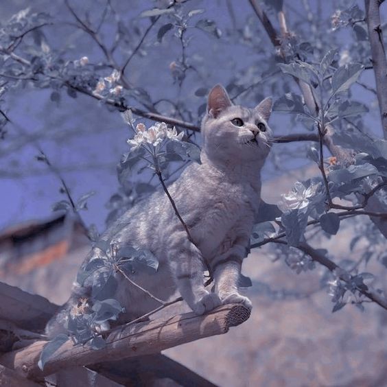 yine bir güzellik koyayım buraya