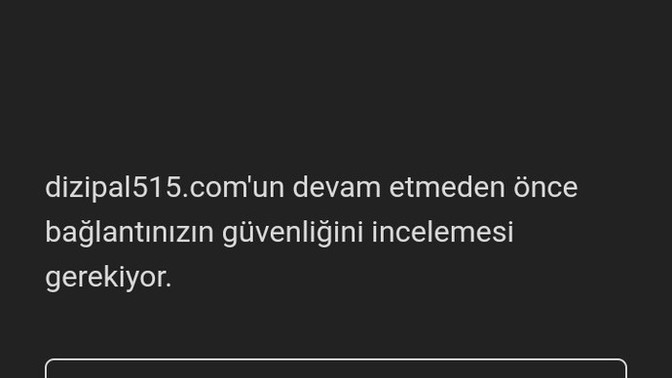 Dizipalden dizi izliycektim ama?