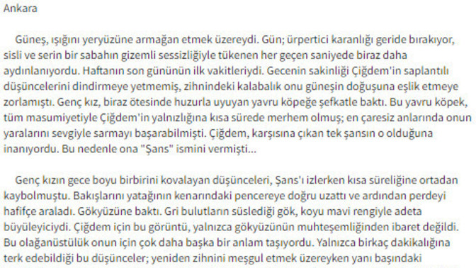 Sizce yazmaya başladığım romanın başlangıcı nasıl?