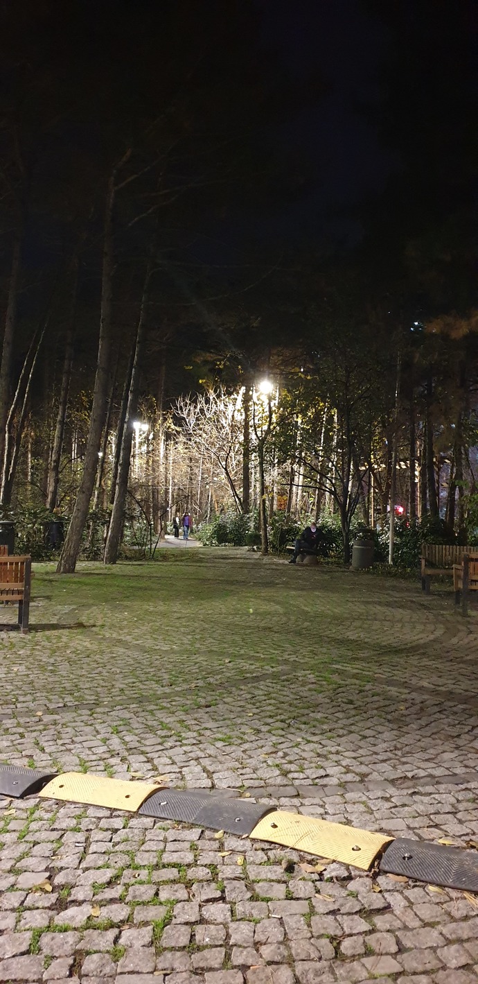 Bu yıla ait galerinde en sevdiğin fotoğrafı paylaşırmısın?