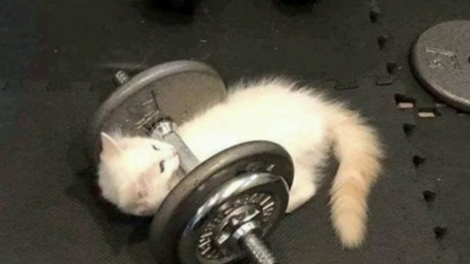 İsteksiz yapılan spor sizce bir işe yarar mı?