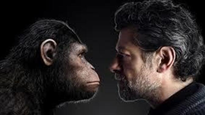 Darwincigim erkekleri inceledigi icin mi atalarimizin sempazeler oldugu sonucuna vardi😂?