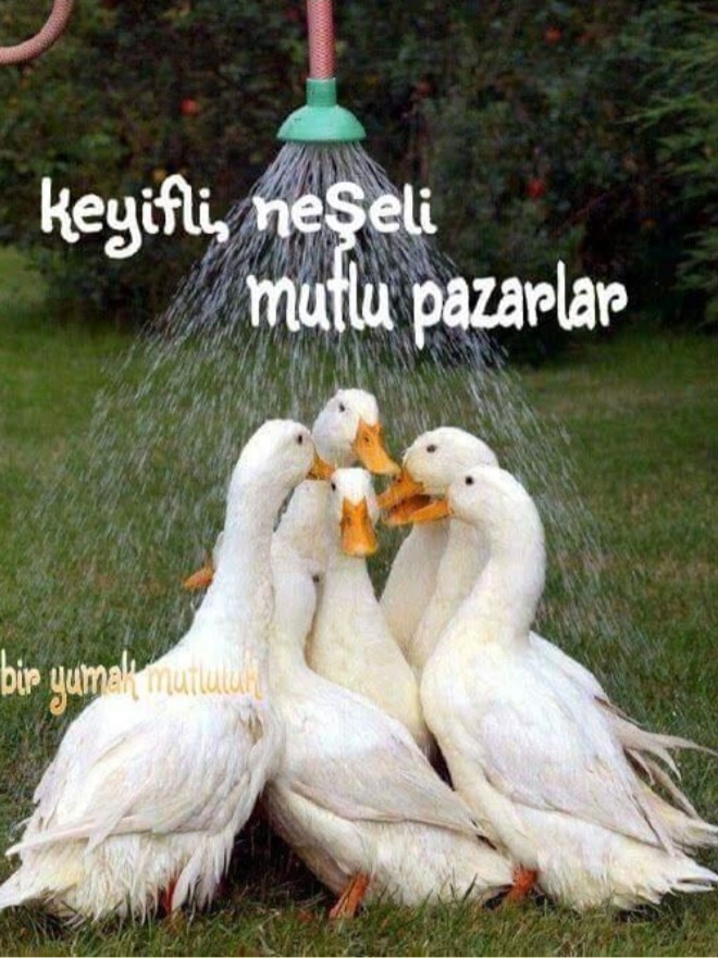 Mutlu pazarlar 🙂