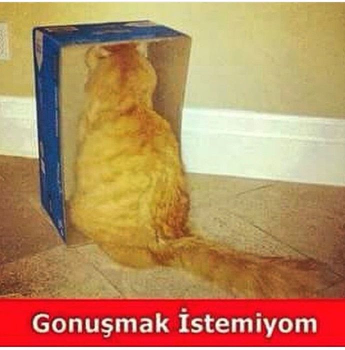 Görüldü yediğinizdeki ruh halinizi bir fotoğraf ile anlatsanıza?
