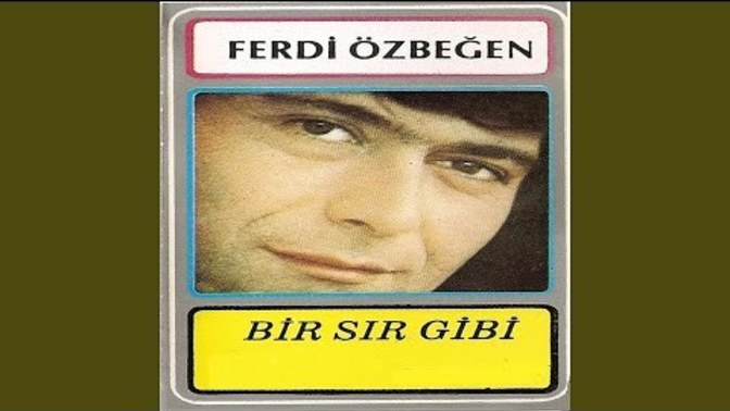 Sizin bir şarkınız var mı?
