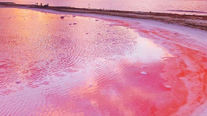 Hayatı toz pembe görecek durumda olmak ister miydiniz?