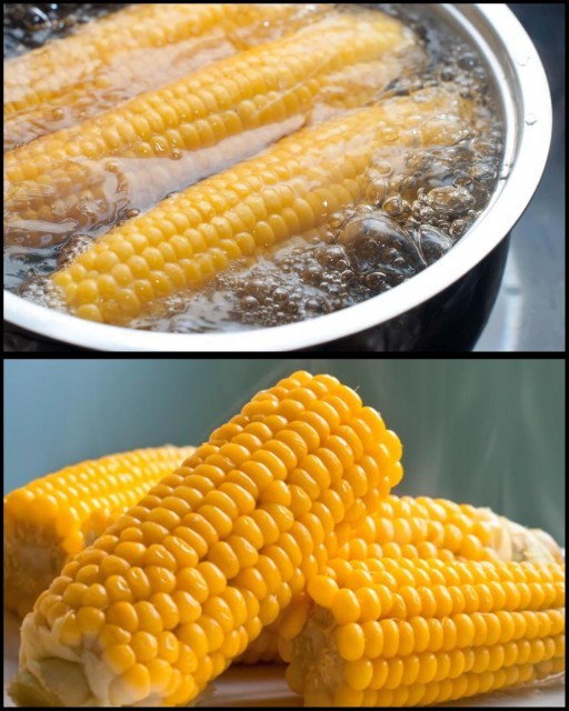 Mısır yemeyi sever misiniz, en son ne zaman mısır yediniz ve hangi tür mısır seversiniz 🌽🍿?