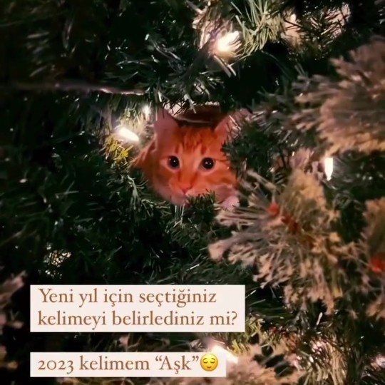 Yeni yıl için seçtiğiniz kelime nedir?