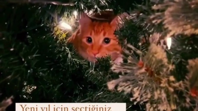 Yeni yıl için seçtiğiniz kelime nedir?