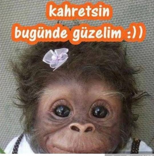Evlenilecek kişi aranıyor CV bırakın deseler, bırakır mıydınız?