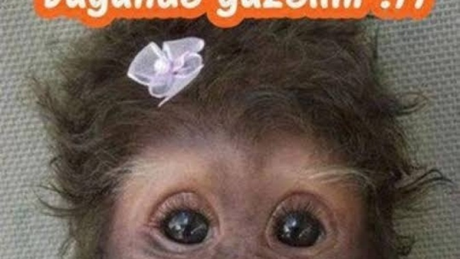 Evlenilecek kişi aranıyor CV bırakın deseler, bırakır mıydınız?